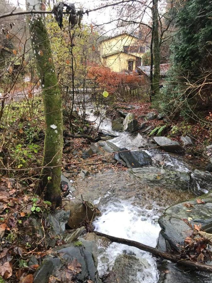 Rivendell 9 Villa Monschau Kültér fotó