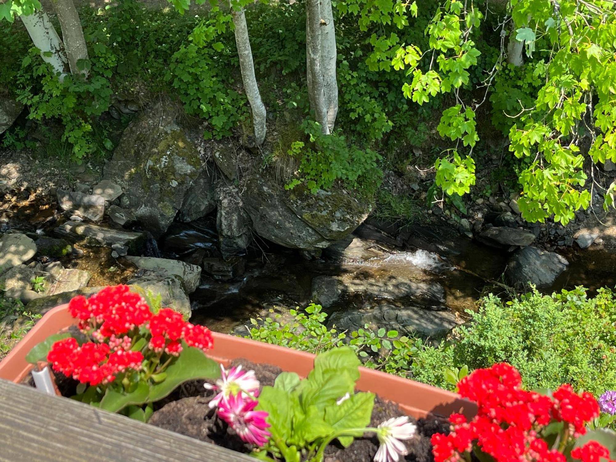 Rivendell 9 Villa Monschau Kültér fotó