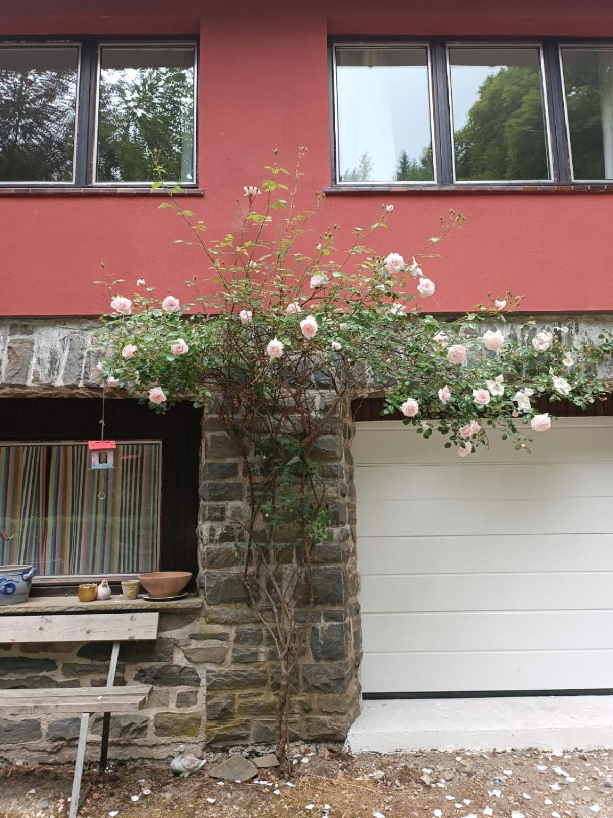 Rivendell 9 Villa Monschau Kültér fotó